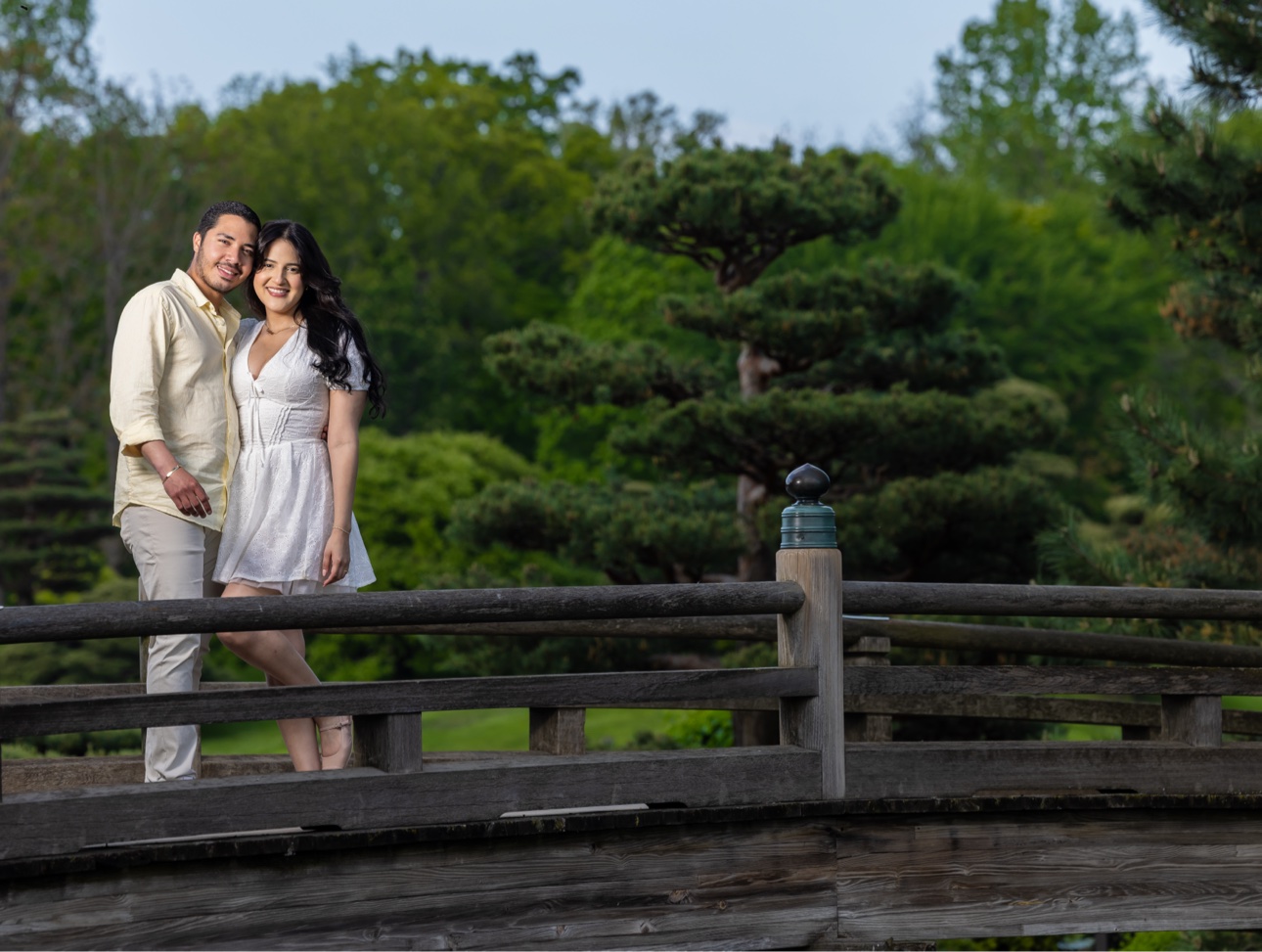 The couple embracing on a wooden Japanese bridge at the Chicago Botanic Garden, with sculpted pine trees behind them