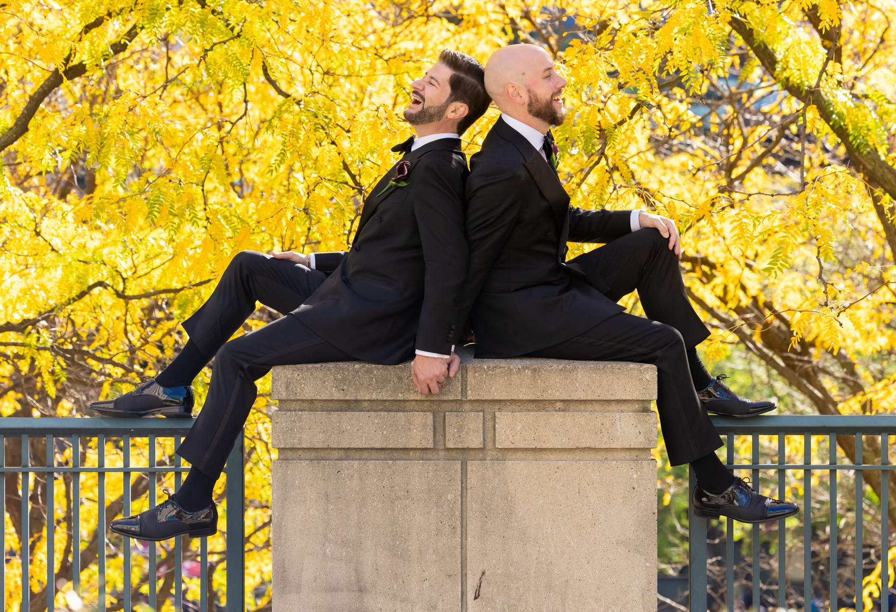 Michael and Kevin seated back to back on a stone ledge beneath golden autumn trees