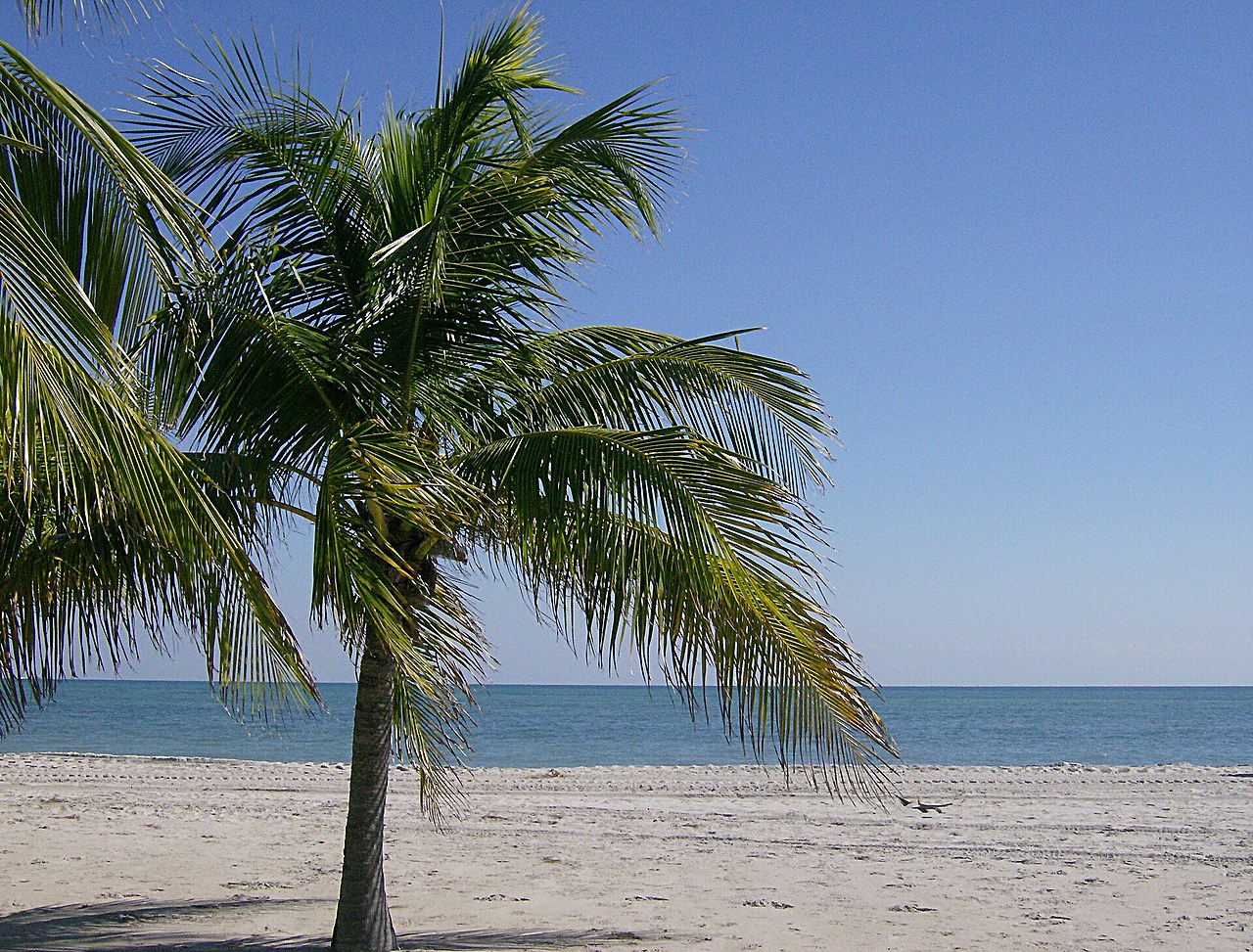 Crandon Park